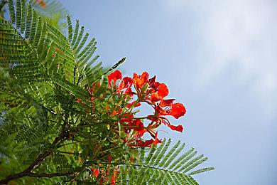 Xbox Series X|S瑞典涨价 此前已在日本涨价